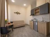 Double Studio with balcony and with city view