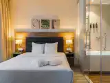Double Suite with park view