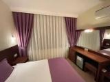 Superior Double room with balcony and with mountain view