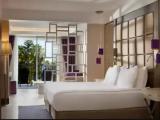 Deluxe Double room with balcony and with mountain view
