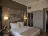 Deluxe Double Suite with city view