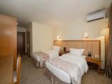 Standard Double room with balcony and with view