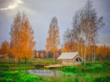 Chernichniy ostrovok Double Bungalow with view