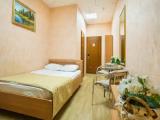 Standard Double room with balcony and with mountain view