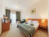 Standard Double room with balcony and with sea view