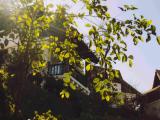 Nest Villa with balcony and with mountain view