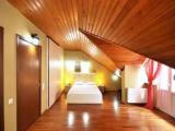 Family Attic room