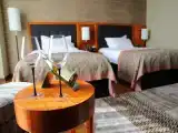 Deluxe Twin room with panoramic view