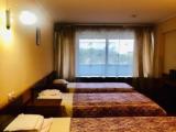 Standard Triple room with city view