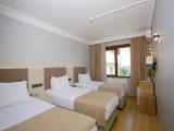 Standard Triple room with view