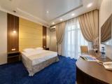 Standard with French Balcony Double room