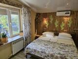 Cactus Double room with city view