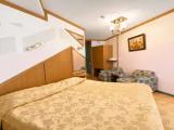 Superior Single room with mountain view