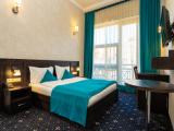 Standard Double room with balcony and with garden view