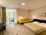 Standard Double room with balcony and beachfront