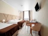 Standard Triple room with city view