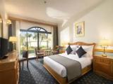 Deluxe Patio Double room with garden view
