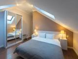 Standard Family Attic room