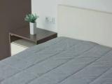 1 Bedroom Luxury Double Apartment with view