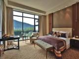 Deluxe Double room with view