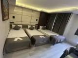 Standard Triple room with city view