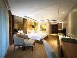 Deluxe Double room with balcony and with city view