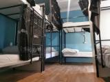 Bed in Dorm