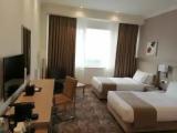 Executive Single Suite