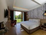 Deluxe Double room with balcony and with pool view