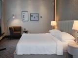Deluxe Accessible Regency Double Suite