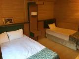 Standard Triple room with view