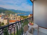 1 Bedroom Apartment with balcony and with view