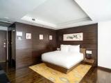 Deluxe Business with Terrace Double room