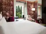 Deluxe Double room with park view