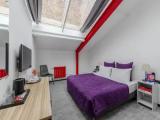 Double Attic Sky Loft