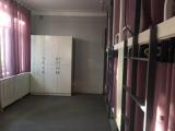 Bed in Dorm