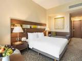Standard Double room with balcony and with mountain view