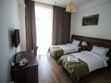 Standard Double room with balcony and with view