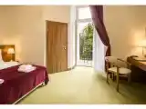 Premium Double room with garden view