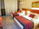 Standard Large room with land view
