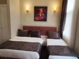 Deluxe Triple room with view