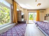 Standard room with balcony and with mountain view