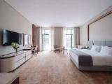 Deluxe Elegant Double room with balcony