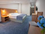 Standard Double Attic room