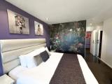 Deluxe Double room with balcony and with river view