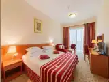 Standard Double room with balcony and with city view