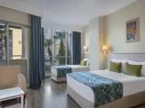 Standard Large Double room with balcony and with view