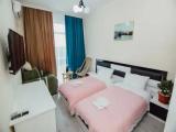 Standard Double room with balcony and with mountain view