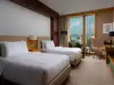 Executive Deluxe Twin room with city view