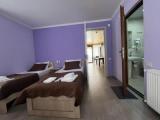 Standard Suite with balcony and with mountain view